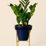 Soporte Dorado para Macetas 15 cm