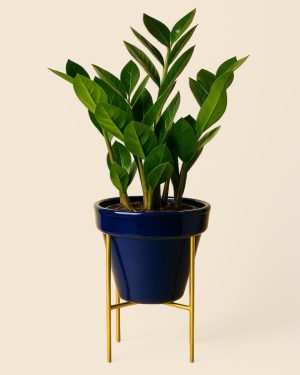 Soporte Dorado para Macetas 15 cm