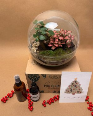 GIFT SET OASIS DETALLE