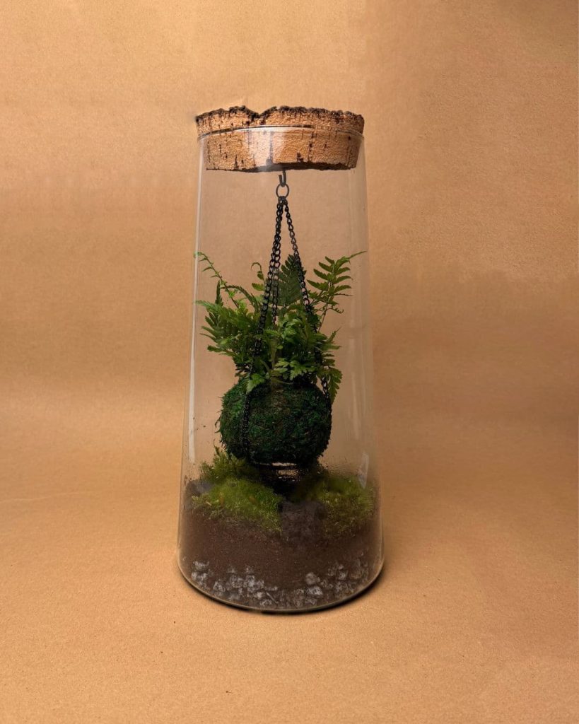 Gift set Vole Terrario