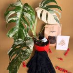 Gift set deux complementos