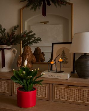 cactus navidad blanco contexto