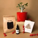 gift set baobab