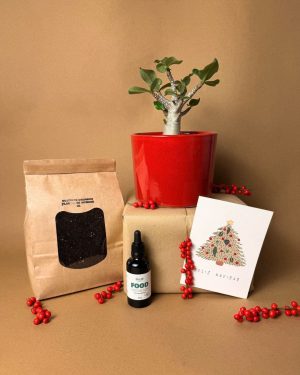 gift set baobab