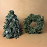 gift set foret pack abeto y corona natural