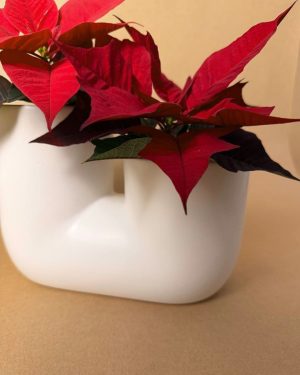 gift set linker detalle