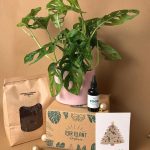 gift set monkey pack