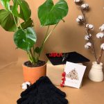 gift set mons monstera