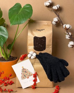 gift set mons terre detalle