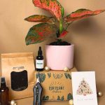 gift set valse lux