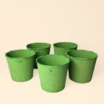 maceta-biodegradable-verde-pack