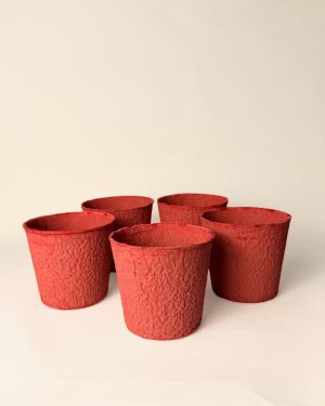 macetas-biodegradable-rojo-pack