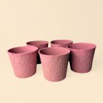 macetas-biodegradable-rosa-pack