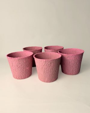 macetas-biodegradable-rosa-pack