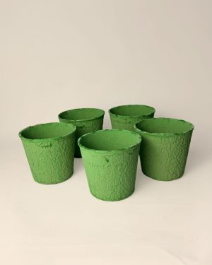 macetas-biodegradable-verde-pack
