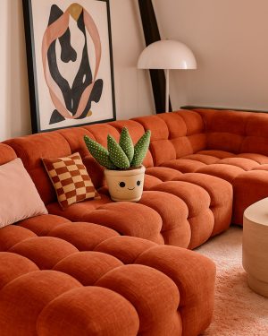 toy-plant-sansevieria-contexto