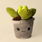 toy-plant-suculenta