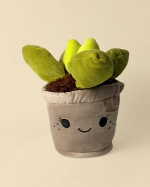toy-plant-suculenta