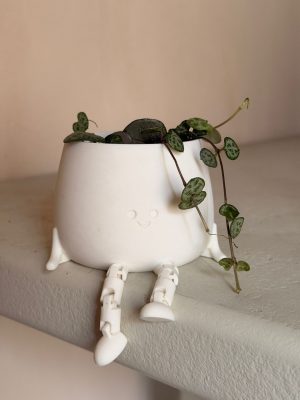 pueba ceropegia happy pot