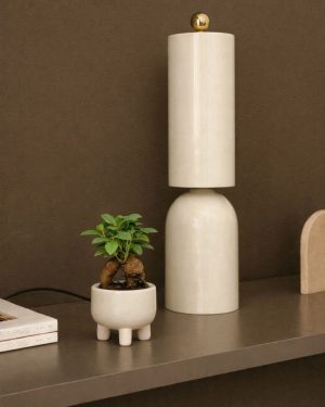 ficus microcarpa potit