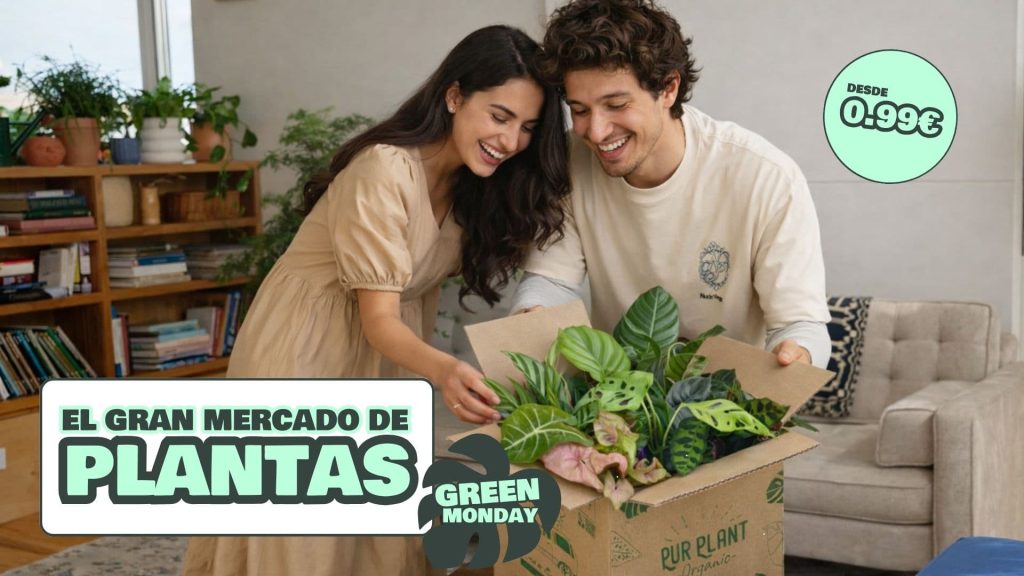 green monday foto caja (1)