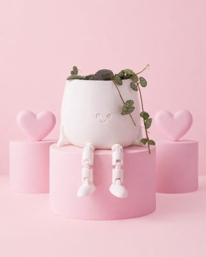 happy pot whiote + ceropegia woodii