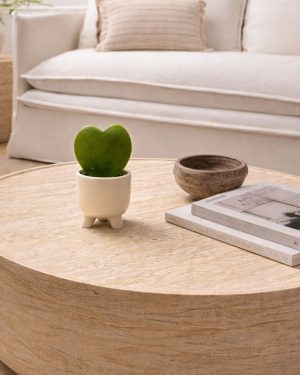 hoya kerrii potit contexto gift set