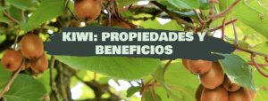kiwi: propiedades y beneficios