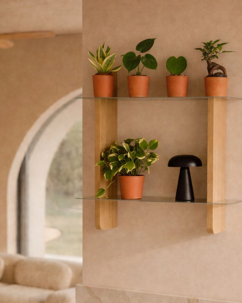 plantas por menos 5 euros