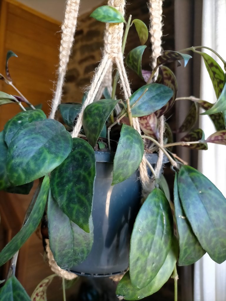 Imagen #2 de Sara Alonso Vega