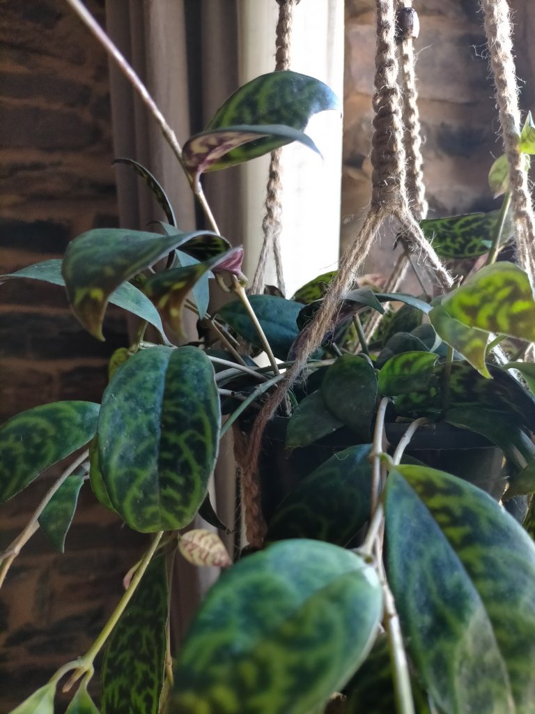 Imagen #1 de Sara Alonso Vega