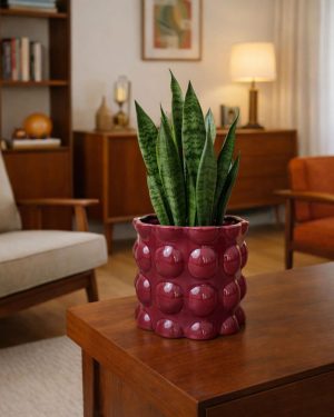 Maceta bob-magenta-contexto