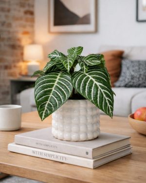 Poppy-Blanca-contexto