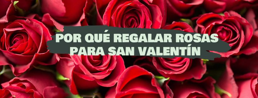Por Qué Regalar Rosas Para San Valentín