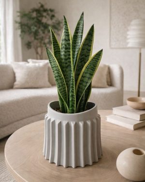 Raw – Maceta Cerámica Gris M 12 cm contexto