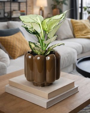 Retro-marrón-contexto