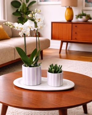 gift set lilac salon