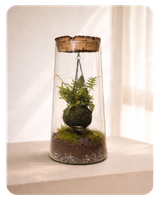 jardin eterno - menu