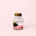 marimo-rosa