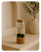 marimo terrario - menu