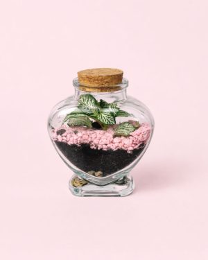mini terrario pink love