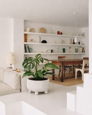 monstera-burle-marx-l-contexto-