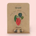 plant pill capsulea semillas flores silvestres