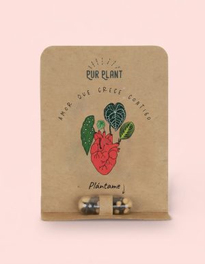 plant pill capsulea semillas flores silvestres