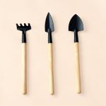 Herramientas-plantas-terrarios-kit