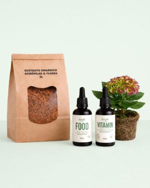 nutrition box acidofilas y flores