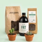 nutrition box cactus y suculentas