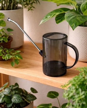 regadera-desmontable-contexto