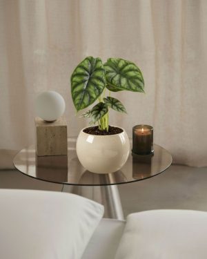 dragon scale m contexto